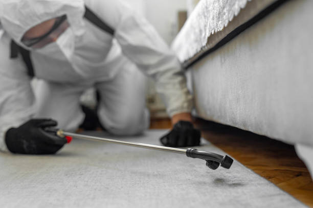 Professional Cockroach Control technician working in Big Bear Lake, CA