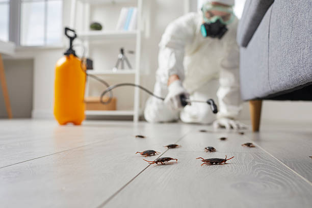 Trusted Emergency Pest Control service in Big Bear Lake, CA - Nex Pest Control
