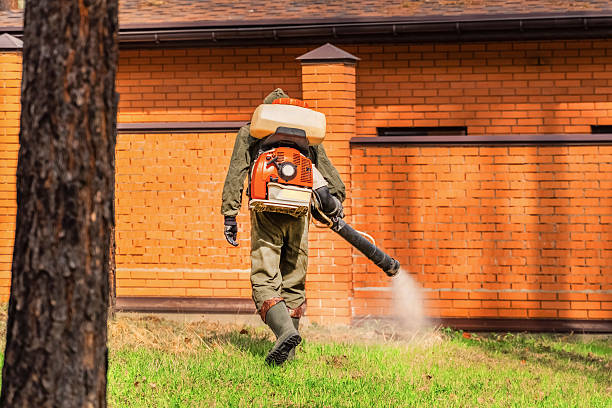 Trusted Cockroach Control service in Big Bear Lake, CA - Nex Pest Control